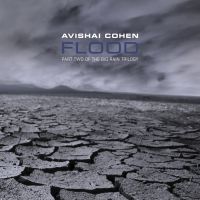 Cohen, Avishai Flood