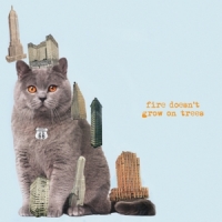 Brian Jonestown Massacre Fire Doesn't Grow On Trees