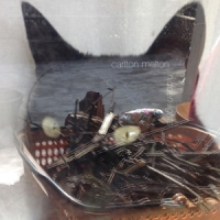 Carlton Melton Hidden Lights