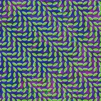 Animal Collective Merriweather Post Pavillion