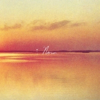 Shauf, Andy Norm -coloured-