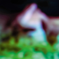 Hair & Treasure Disc Rot