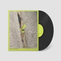 Stardrum, Booker Close-up On The Outside