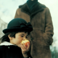 Blue Angel Lounge A Sea Of Trees -180gr-