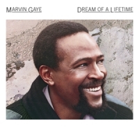 Gaye, Marvin Dream Of A Lifetime