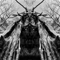 Rulaman To Serve The Dune -coloured-