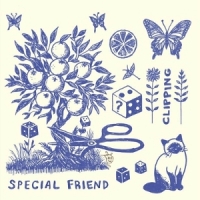 Special Friend Clipping