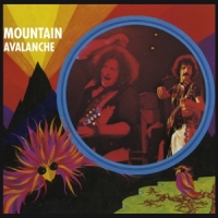 Mountain Avalanche