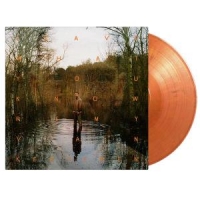 Kesteren, Remy Van Leave What You Know -coloured-