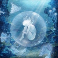 Moriondo, Chloe Oyster