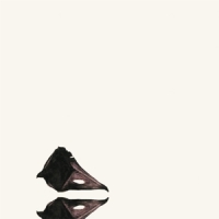 Coil The New Backwards