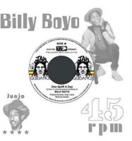 Billy Boyo & Roots Radics One Spliff A Day/one Dub A Day