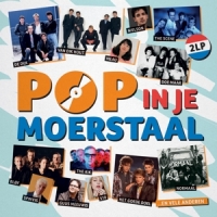 Various Pop In Je Moerstaal