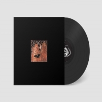 Orchestra (for Now) Plan 75