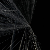 Matthias, John & Jay Auborn Race To Zero