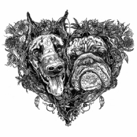 Bush, Kate Hounds Of Love