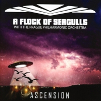 A Flock Of Seagulls Ascension