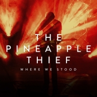 Pineapple Thief Where We Stood (cd+dvd)