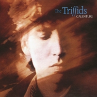 Triffids, The Calenture