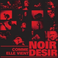 Noir Desir Comme Elle Vient - Live 2002