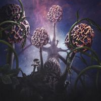 Blut Aus Nord Hallucinogen