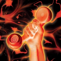 Gabriel, Peter Secret World Live