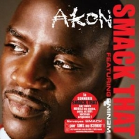 Akon Smack That