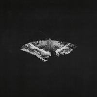 Lamar, Kendrick To Pimp A Butterfly