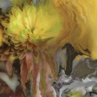 Millsap, Parker Wilderness Within You