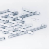 Carlton Melton Mind Minerals