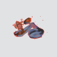 Upsammy & Valentina Magaletti Seismo