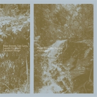 Bear Bones, Lay Low X Laslo Umbreit Tales From The Source