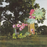 Medicine Home Everywhere