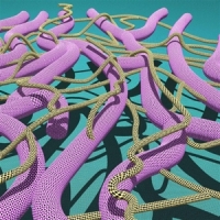 Gaf Y La Estrella De La Muerte Pyramids