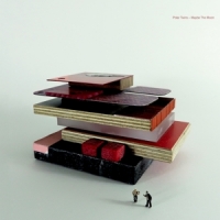 Polar Twins Maybe The Moon