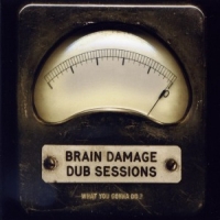 Brain Damage Dub Sessions - What You Gonna Do