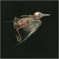 Hval, Jenny & Susanna Meshes Of Voice