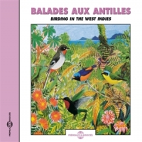 Sons De La Nature Balade Aux Antilles - Birding In Th