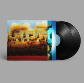 Bonobo Distance In Static