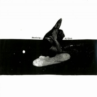 U.s. Girls Introducing