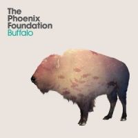 Phoenix Foundation Buffalo