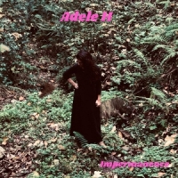 Adele H Impermanence