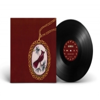 Friko Where Weve Been Where We Go From He