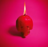 Arcade Fire Pink Elephant