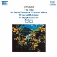 Wagner, R. Ring (orchestral Highligh