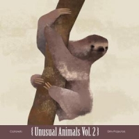 Castanets / Dirty Projectors Unusual Animals Vol. 2