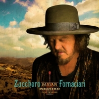 Zucchero Inacustico D.o.c. & More