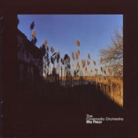 Cinematic Orchestra, The Ma Fleur