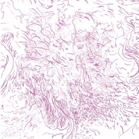 Skinner, Tom Voices Of Bishara