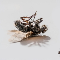 Rissanen, Aki & Verneri Pohjola & Ro Hyperreal